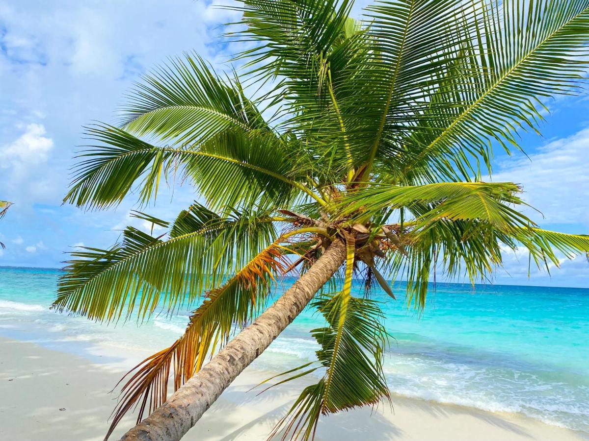 Hotel Tme Retreats Dhigurah Dhigurah  Zewnętrze zdjęcie
