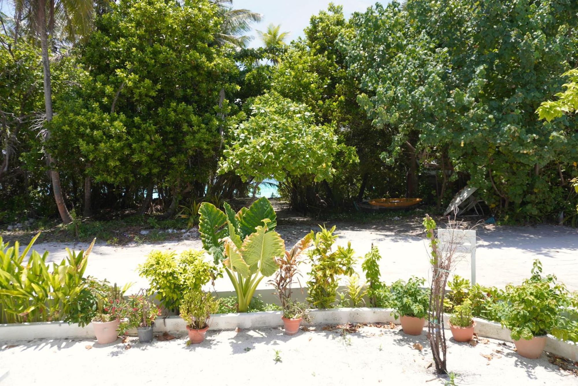 Hotel Tme Retreats Dhigurah Dhigurah  Zewnętrze zdjęcie