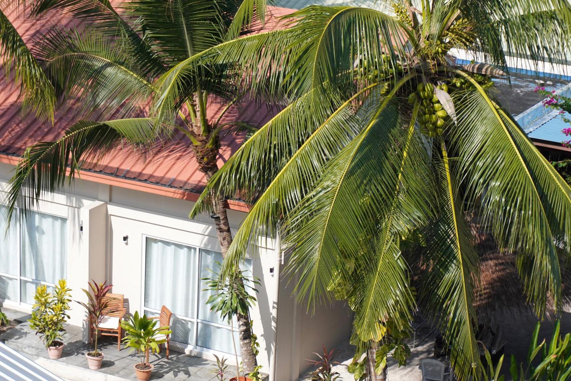 Hotel Tme Retreats Dhigurah Dhigurah  Zewnętrze zdjęcie